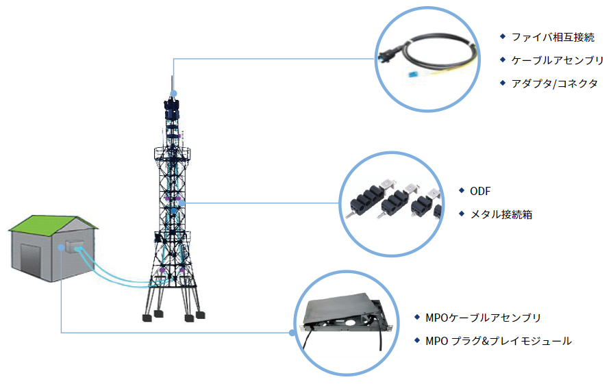 光製品事業 | 高品質なODM生産で海外調達に貢献する WCFO Japan
